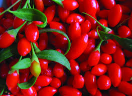 goji jagode zdravilni učinki